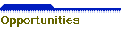 Opportunities