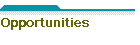 Opportunities